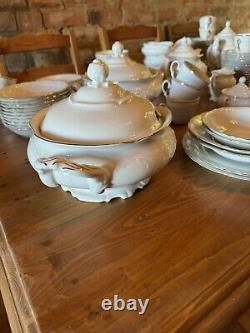 146 Pice 18 Seats Rockley Fine Porcelain White And Gold Dinner Service Set New