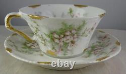 3 Haviland Antique Porcelain Floral Gold Schleiger 146 Variant  Cup & Saucers