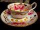 Antique Spode Copelands 1800s Hand Decorated Roses Gilded Tea Cup & Saucer 3886