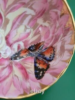AYNSLEY Vintage Bone China Chrysanthemum Butterfly Gold Teacup & Saucer Set RARE