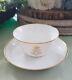 A Sevres Napoleon Iii Porcelain Cup And Saucer 19th Century