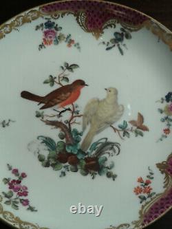 Antique 18 th Meissen cup & saucer decorated with polychrome & gold birds