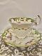 Antique 19th Century H & R Hr Daniel Floral & Gold Tea Cup & Saucer #1919 C1835