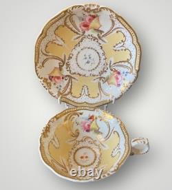 Antique Coalport Porcelain Tea Cup & Saucer c. 1830, Hand Painted Gilt Pattern 98