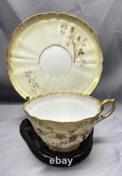 Antique Elite Limoges France Gold Encrusted Flora Porcelain Floral Cup & Saucer