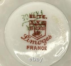 Antique Elite Limoges France Gold Encrusted Flora Porcelain Floral Cup & Saucer