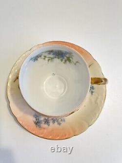 Antique Limoges Tea Cup & Saucer Peach Gold Gilt Floral Hand Painted Teacup