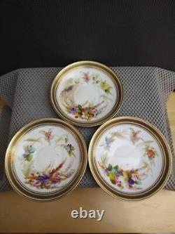 Antique Porcelain Gold Rim Floral 2 Tea Cups 3 Saucers 4 Plates