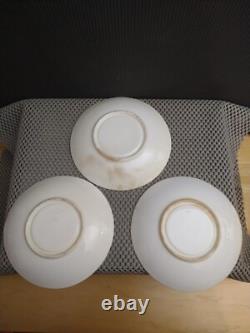 Antique Porcelain Gold Rim Floral 2 Tea Cups 3 Saucers 4 Plates
