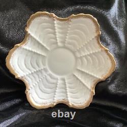 Antique Pre SHELLEY WILEMAN White Gold Shell Cup & Saucer 1890's Rd 150035