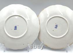 Antique Redfern & Drakeford Bone China Tea Set for 12, 1870-1895