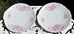 Antique Tea set JZ & CO JACOB ZEIDLER GERMANY 29 pieces cups saucers plates jug