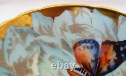 Aynsley Butterfly On Chrysanthemum Flower Cup & Saucer Light Blue With Gold Trim