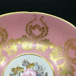 Aynsley Cabbage Rose Flowers Pink & Gold Pedestal Tea Cup & Saucer Bailey Cs83