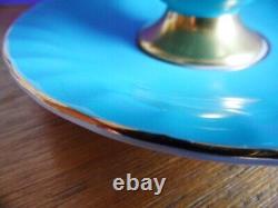 Aynsley Hip Rose Blue Cornflower, Daisy Wheat Ear Pattern Cup Saucer Turquoise