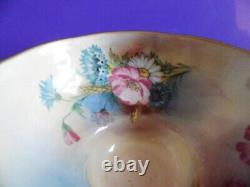 Aynsley Hip Rose Blue Cornflower, Daisy Wheat Ear Pattern Cup Saucer Turquoise