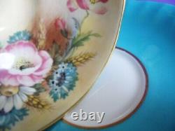 Aynsley Hip Rose Blue Cornflower, Daisy Wheat Ear Pattern Cup Saucer Turquoise