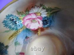 Aynsley Hip Rose Blue Cornflower, Daisy Wheat Ear Pattern Cup Saucer Turquoise