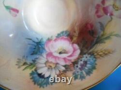 Aynsley Hip Rose Blue Cornflower, Daisy Wheat Ear Pattern Cup Saucer Turquoise