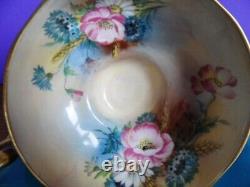 Aynsley Hip Rose Blue Cornflower, Daisy Wheat Ear Pattern Cup Saucer Turquoise