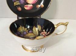 Beautiful Aynsley Black Fruit Orchard Tea Cup & Saucer 1174 Gold Trim