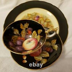 Beautiful Aynsley Black Trio Fruit Orchard-HAND PAINTEDTea Cup, Saucer and plate