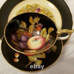 Beautiful Aynsley Black Trio Fruit Orchard-HAND PAINTEDTea Cup, Saucer and plate