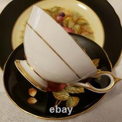 Beautiful Aynsley Black Trio Fruit Orchard-HAND PAINTEDTea Cup, Saucer and plate