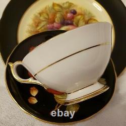 Beautiful Aynsley Black Trio Fruit Orchard-HAND PAINTEDTea Cup, Saucer and plate