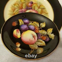 Beautiful Aynsley Black Trio Fruit Orchard-HAND PAINTEDTea Cup, Saucer and plate