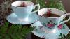 Bt T Floral Tea Cups And Saucers Set Of 2 Blue 8 Oz