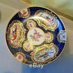 CHELSEA PORCELAIN BIRD & BUGS TEA CUP & SAUCER GILDED HAND PAINTED ANTIQUE c1760