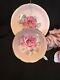 Cabbage Pink Rose Pink Tea Cup&saucer Warrant Queen Lots Gold Cup Has Crazing