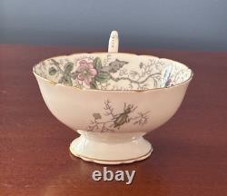 Coalport Cairo Rare Multicolor On White Gold Trim Set Of 7 Cups & Saucers Ec