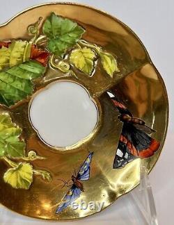 Coalport Hand Painted Butterflies Dragonflies Gilt Cup & Saucer Aesthetic