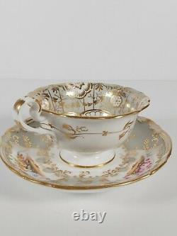 Coalport Hand Painted & Richly Gilded Tea Cup & Saucer