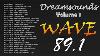 Dreamsounds Wave 89 1 Fm Volume 1