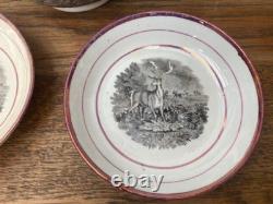 Early 19thC Bat Printed Transfer Ware Cups and Saucers With Gold Lustre Rims