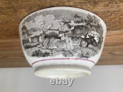 Early 19thC Bat Printed Transfer Ware Cups and Saucers With Gold Lustre Rims