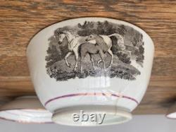 Early 19thC Bat Printed Transfer Ware Cups and Saucers With Gold Lustre Rims