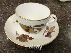 Evesham Gold Rimmed Tea Cup & Saucer Set Royal Worcester Fine Porcelain 12 sets