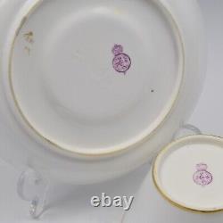 Fine Royal Worcester Porcelain Aesthetic Movement Style Gilt Cup & Saucer Antiqu