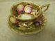 Footed Cup & Saucer Set Orchard Aynsley Fruit And Gold Signed D. Jones