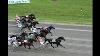 Gold Cup And Saucer 2008 Charlottetown Driving Park At Red Shores Extended Coverage