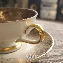 Hutschenreuther Bavaria Porcelain Tea Cup & Saucer Set Floral Grey Gold