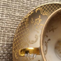 Hutschenreuther Bavaria Porcelain Tea Cup & Saucer Set Floral Grey Gold
