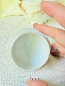 Limoges Haviland Coffee Pot Cups Saucers Antique