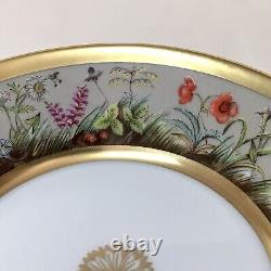 Limoges Royale Fleurs des Champs Cup Saucer ANCIENNE MANUFACTTURE Gold