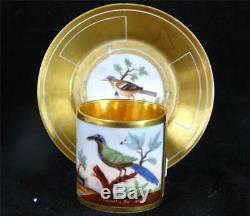 M017 Antique Old Paris Porcelain Ornithological Cup & Saucer Momot & Pingon