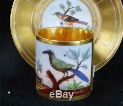 M017 Antique Old Paris Porcelain Ornithological Cup & Saucer Momot & Pingon